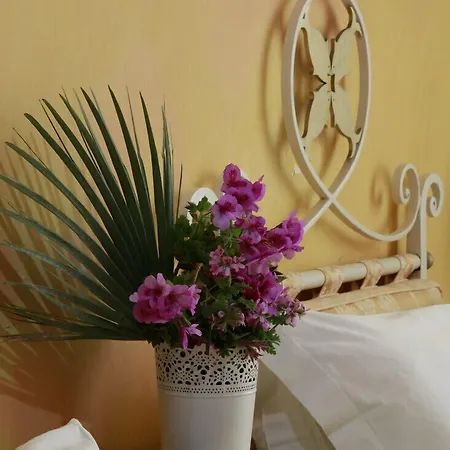 Hotel Egadi 3*